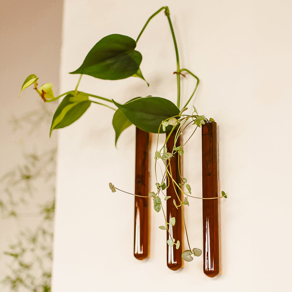 Lot de 3 vases