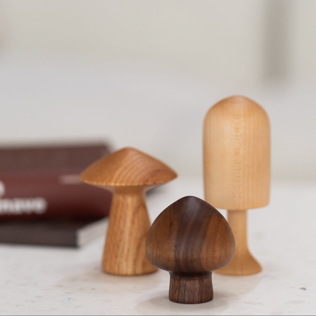 Ensemble de 3 champignons en bois
