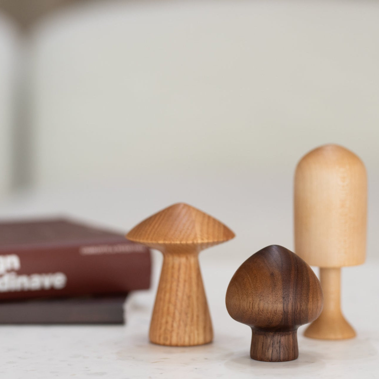 Ensemble de 3 champignons en bois