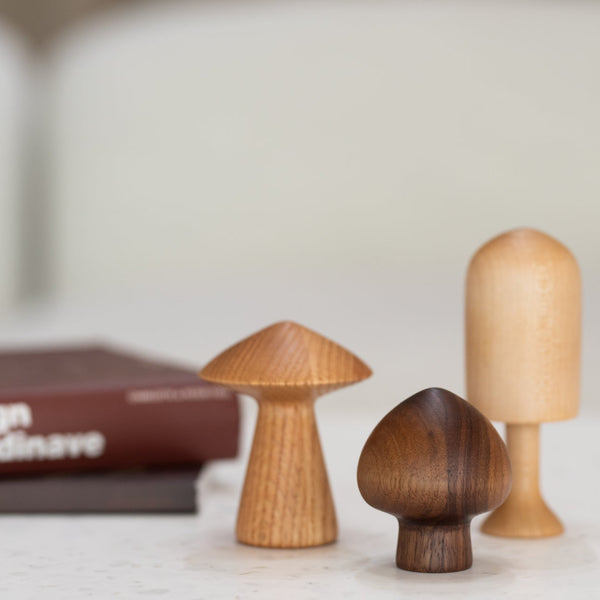Ensemble de 3 champignons en bois