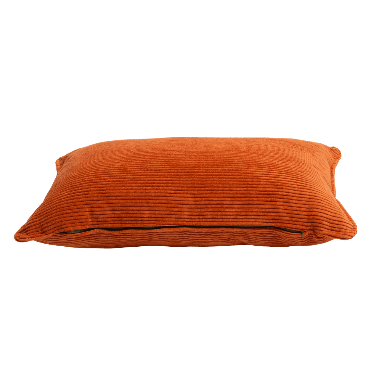 Pop-orange cushion 60x40cm