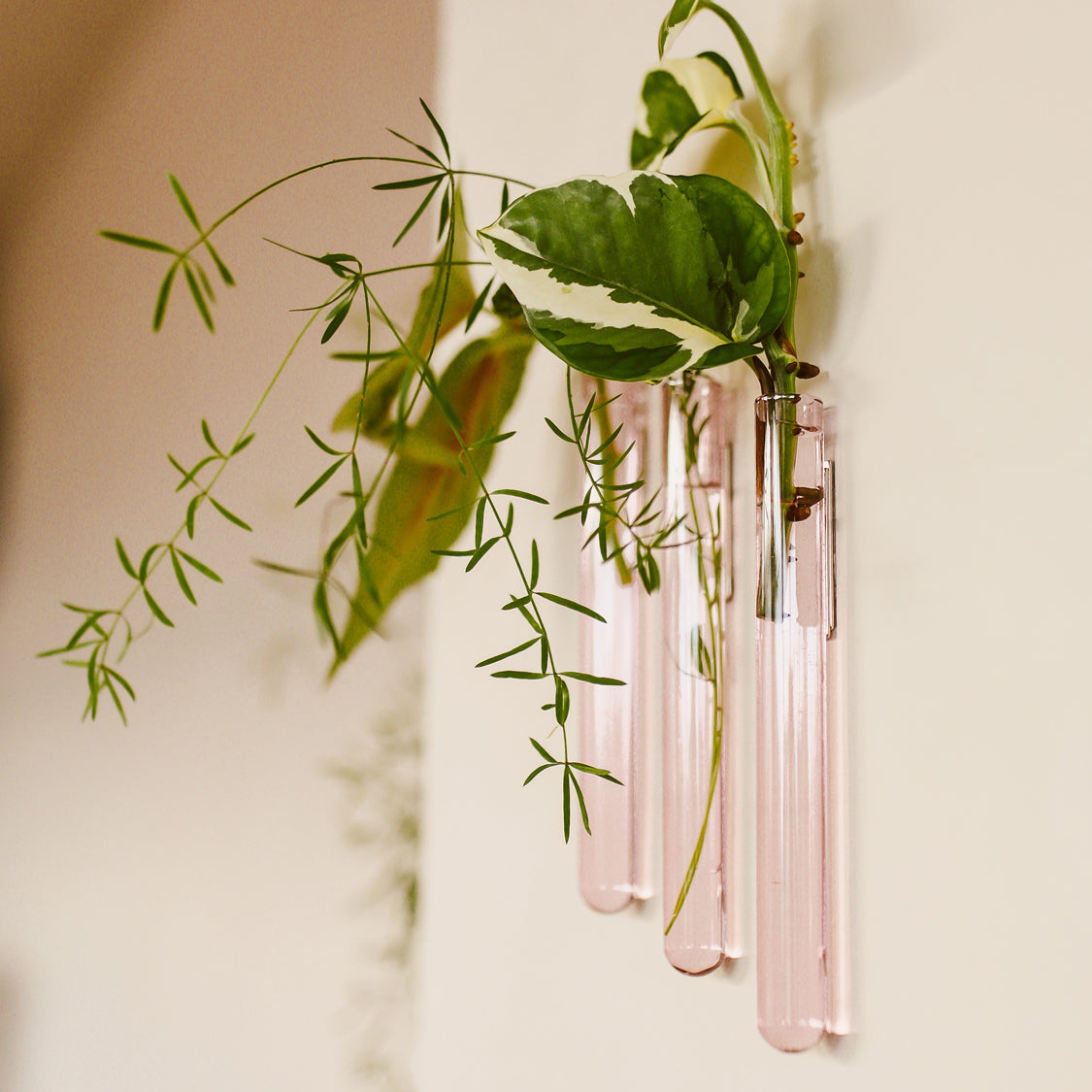 Lot de 3 vases