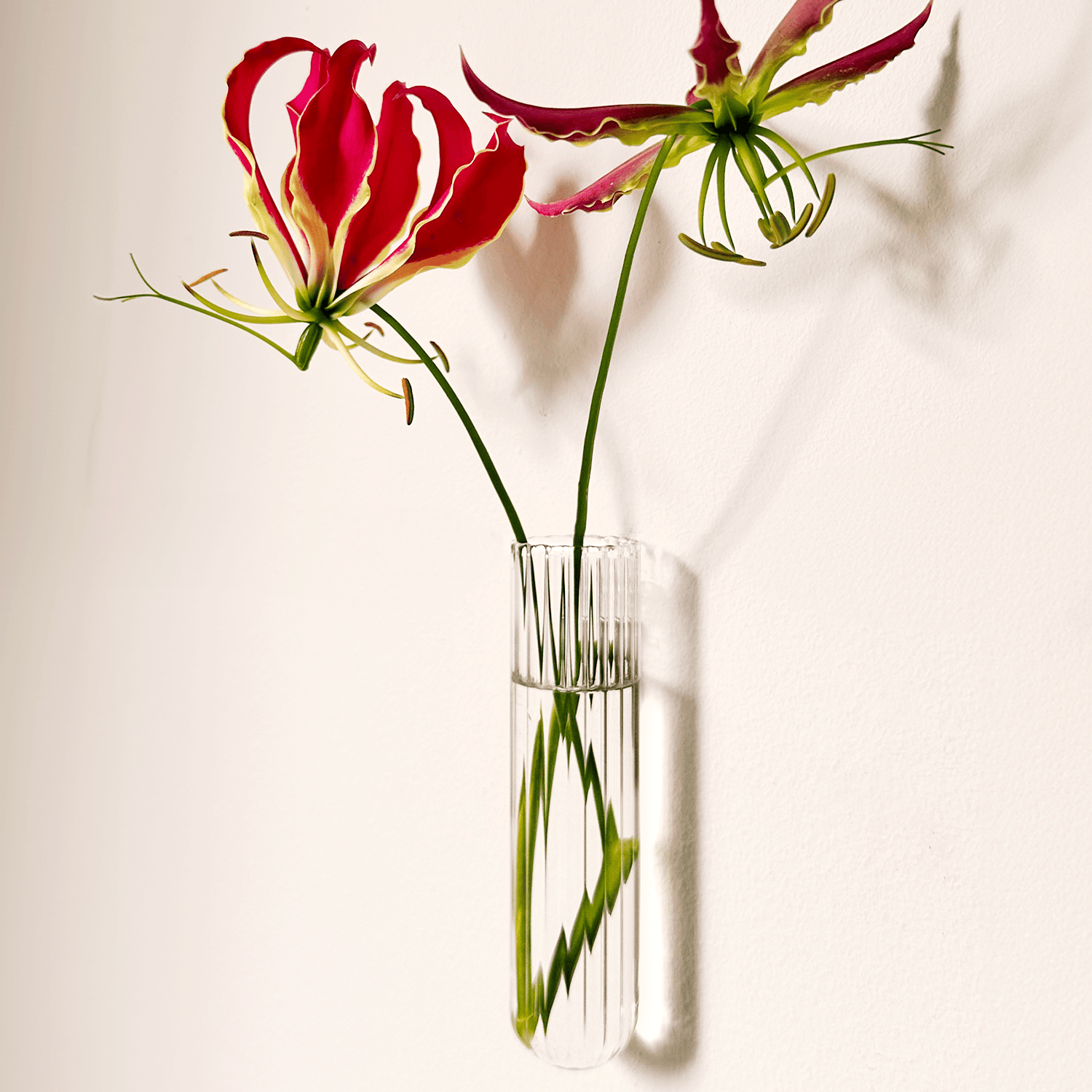 Vase xl