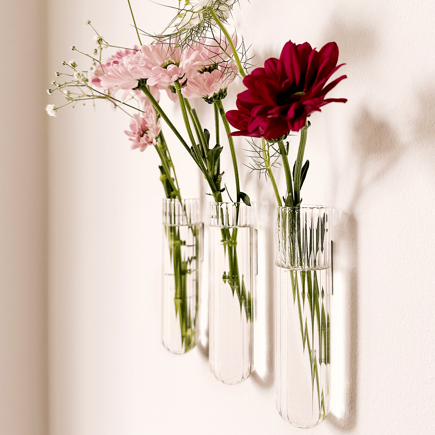 Lot de 3 vases xl