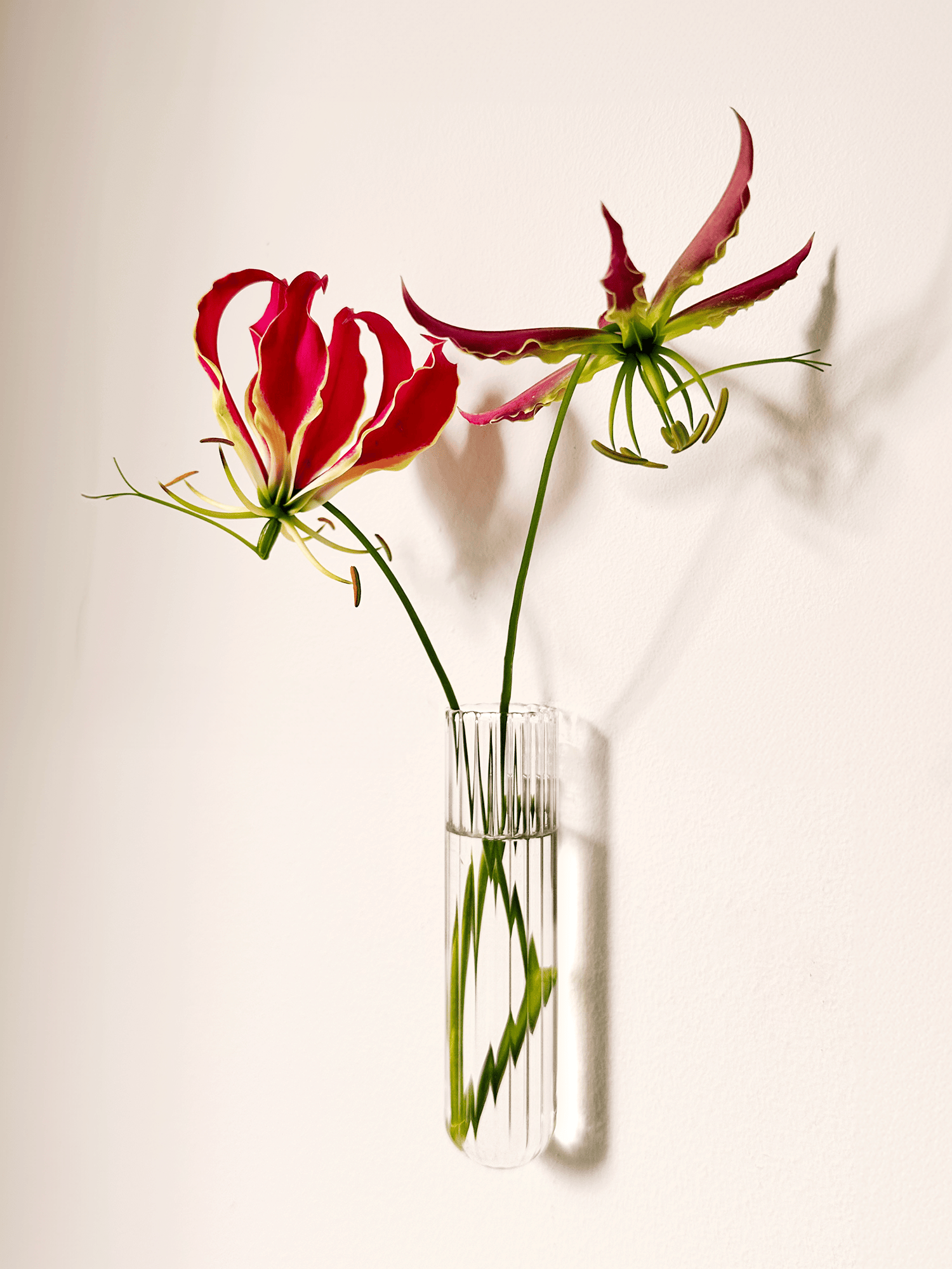 Vase xl