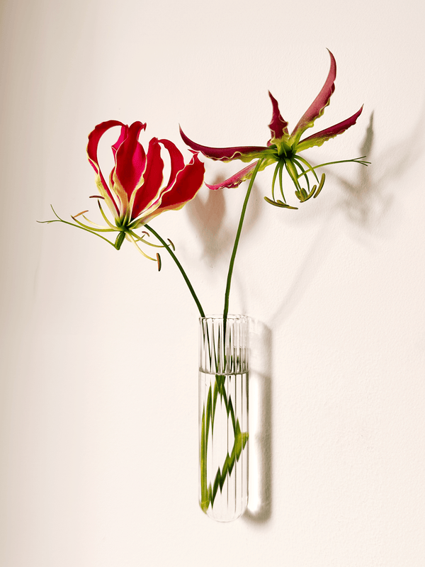 Vase xl